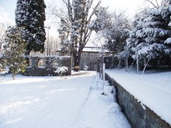 DSCF5521 DSCF5521